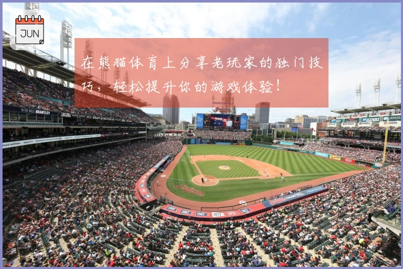 在熊猫体育上分享老玩家的独门技巧，轻松提升你的游戏体验！
