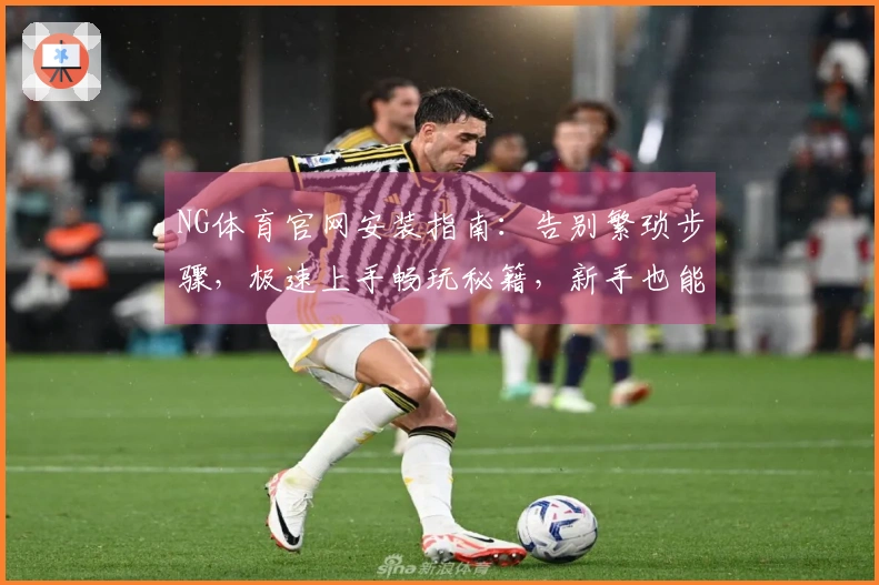 NG体育官网安装指南：告别繁琐步骤，极速上手畅玩秘籍，新手也能秒懂！