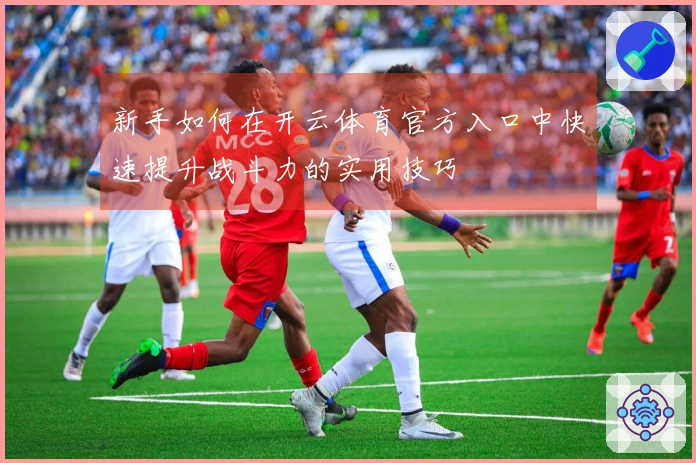 新手如何在开云体育官方入口中快速提升战斗力的实用技巧