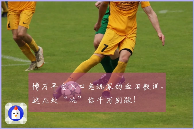 博万平台入口老玩家的血泪教训，这几处“坑”你千万别踩！