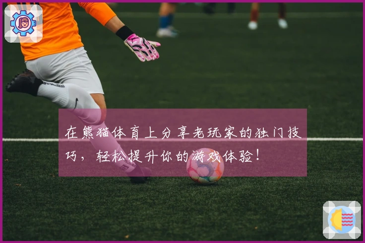 在熊猫体育上分享老玩家的独门技巧，轻松提升你的游戏体验！